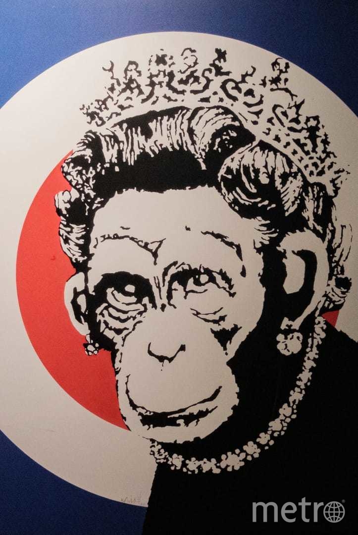 "Королева обезьян". Фото Алена Бобрович, "Metro"