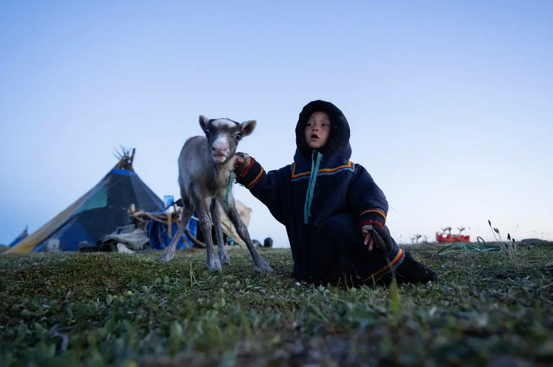 Ребёнок ненцев с оленёнком недалеко от стойбища кочевников, коренных народов Севера, летом 2022 года Фото предоставлены шеф-редактором проекта "Дети Арктики" Артуром Агафоновым. 