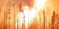 В Ленобласти назвали возможную причину пожара на газопроводе