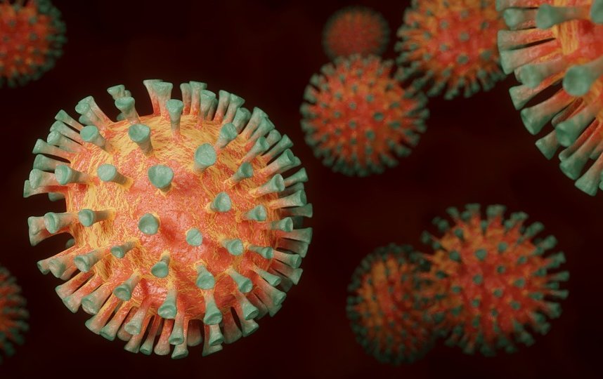 Минобороны: США создали вариант коронавируса с 80-процентной смертностью. Фото Pixabay