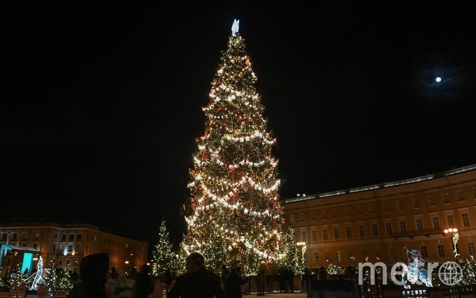 Новогоднюю ель установят на Дворцовой площади 8 декабря, а полностью украсят к 20 числу. Фото Игорь Акимов.