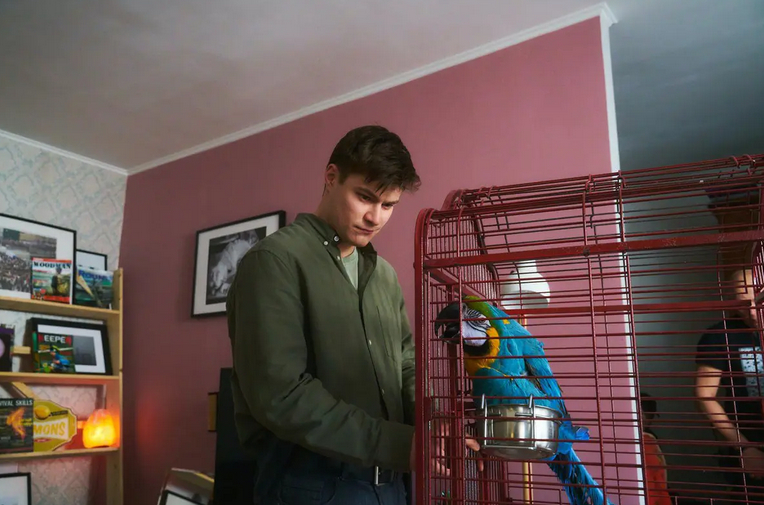 Современный русский спецагент держит дома говорящего попугая-мотиватора. Кадр из фильма. 