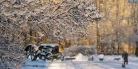 Петербург на следующей неделе засыплет снегом