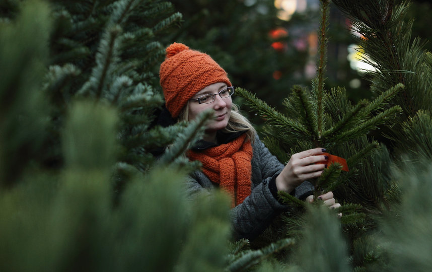 В Петербурге 20 декабря открывается сезон елочных и новогодних базаров. Фото Getty