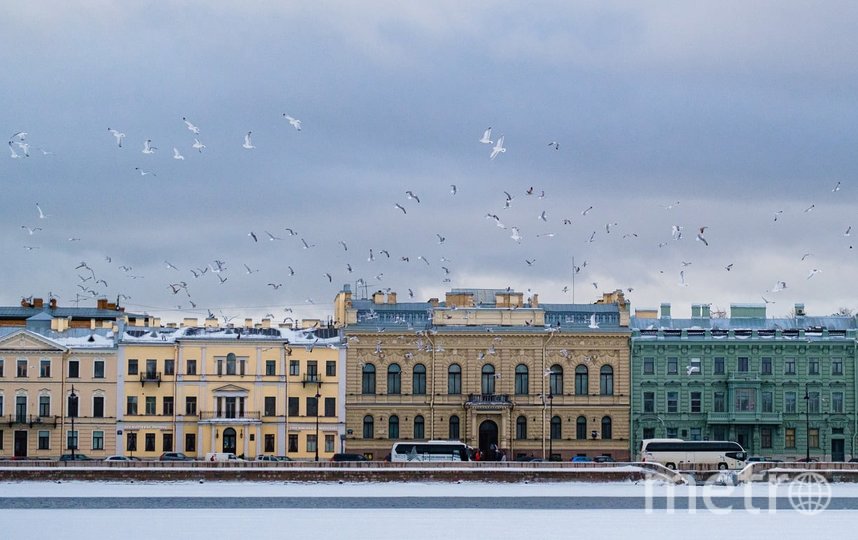 В среду в Петербург придет зимняя оттепель. Фото Алена Бобрович, "Metro"