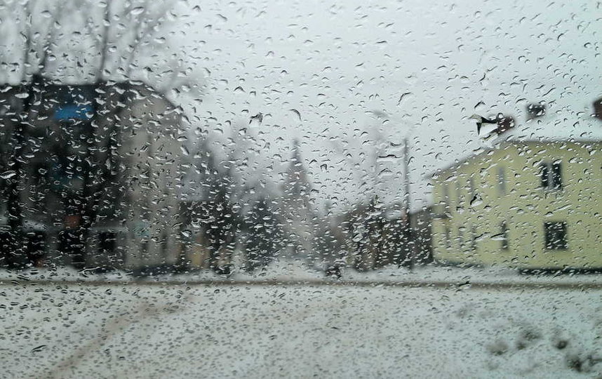 Пока синоптики не пришли к единому мнению о погоде в Петербурге на Новый год. Фото piqsels