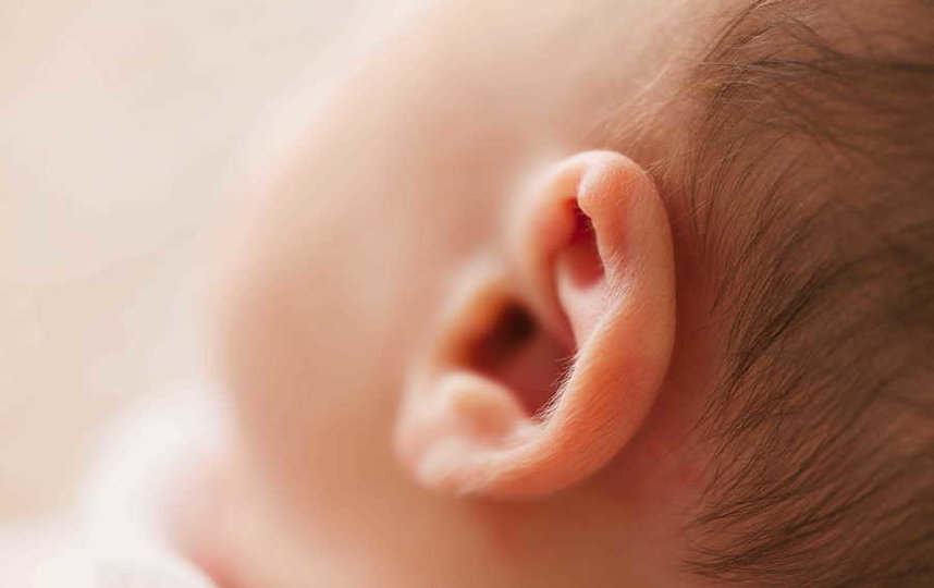 В Петербурге расширили меры поддержки детей со снижением слуха. Фото piqsels