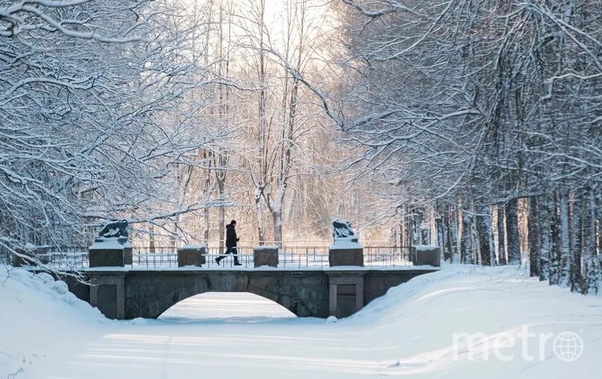 В Петербург придет потепление. Фото Алена Бобрович, "Metro"
