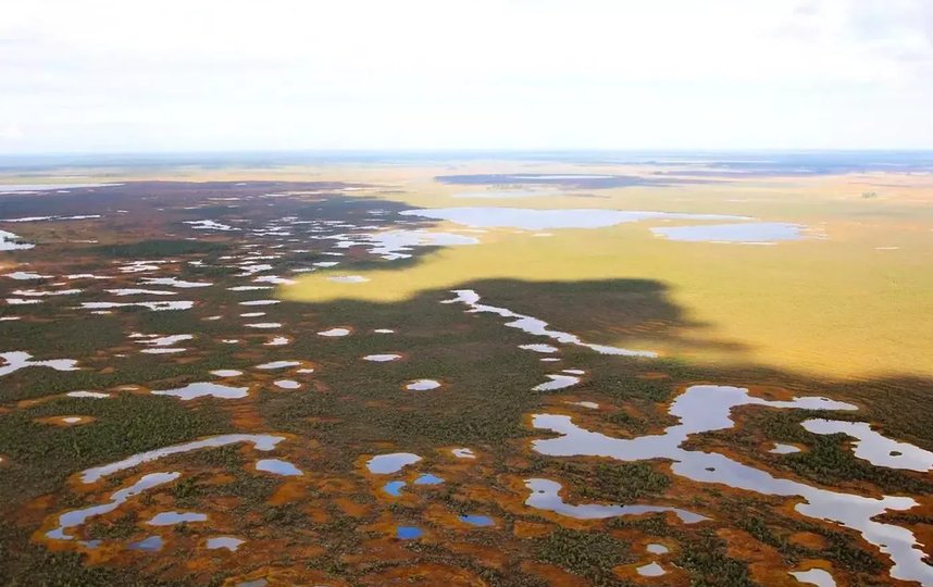 Васюганские болота. Фото Росзаповедцентр