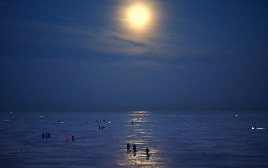 "Лунатики" выходят на фотоохоту ночью. Фото предоставлено героем публикации