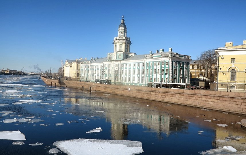 В Петербурге темпы естественной убыли населения замедлились вдвое. Фото Pixabay