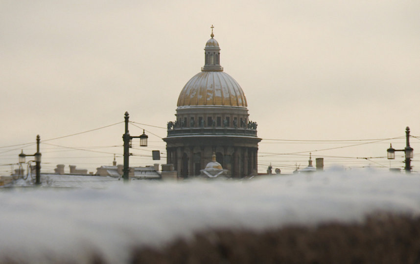 Фото: телеканал «Санкт-Петербург». 