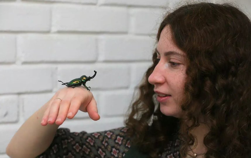 Светлана Емельченкова увлекается африканскими жуками уже почти три года. Фото Василий Кузьмиченок/Metro