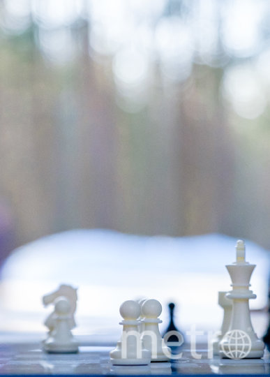 Любители шахмат проводят в павильоне по несколько часов, в морозную погоду согреваются с помощью чая и кофе. Фото Алена Бобрович, "Metro"