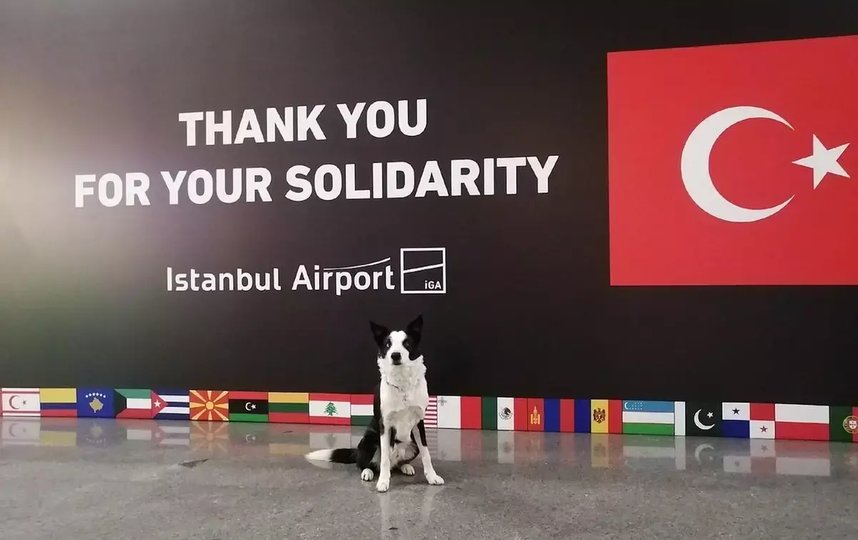 Торин в аэропорту Стамбула. Фото Предоставлено героиней публикации.