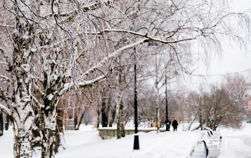 В Петербурге рабочая неделя начнется с похолодания