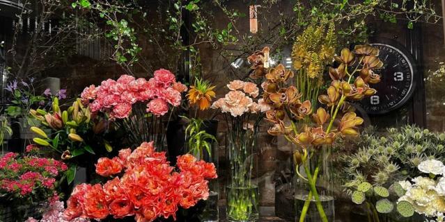 В петербургских авторских магазинах огромный выбор цветов, которые могут заменить розы. Например, белые ароматные маттиолы или розовые гвоздики гарантированно будут радовать вас не меньше двух недель.