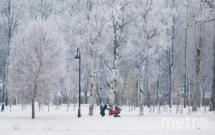 Синоптик Колесов предупредил о морозе в Петербурге предстоящей ночью. Фото Алена Бобрович, "Metro"