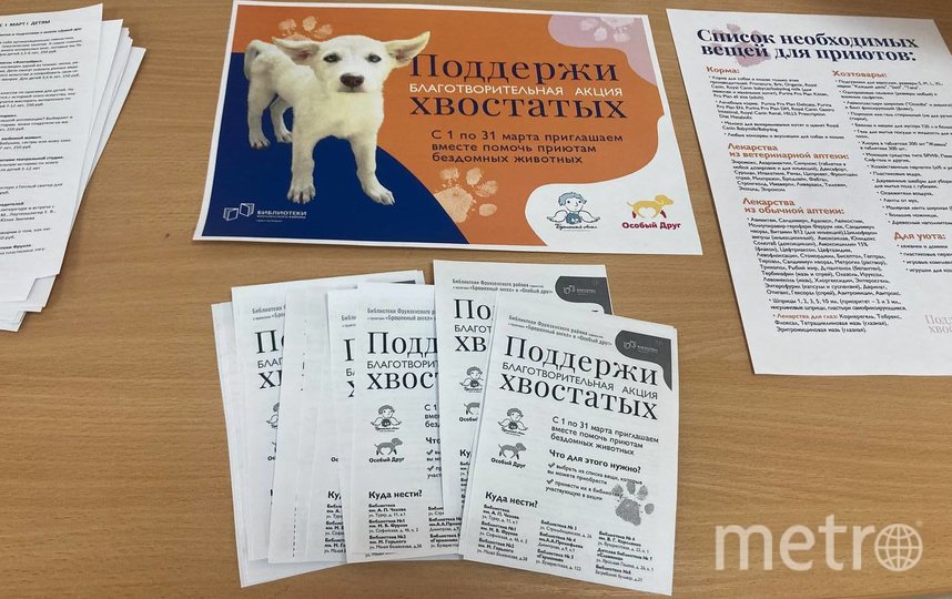Взять книгу и помочь питомцам: библиотеки Петербурга объявили сбор помощи приютам для бездомных животных