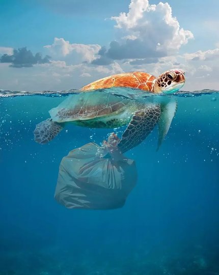 Пластик опасен для морских обитателей. pixabay. 