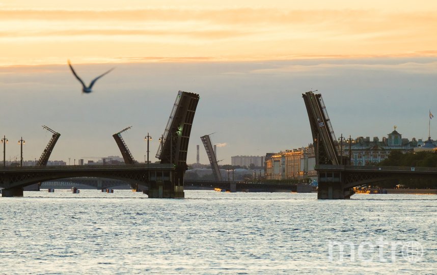 Благовещенский, Дворцовый и Троицкий мосты. Фото Алена Бобрович, "Metro"