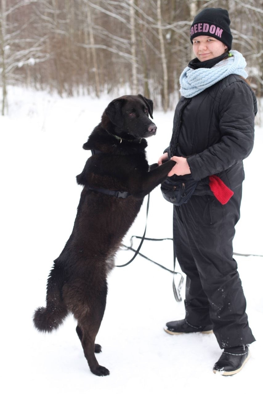 Лучшие друзья: Настя Зелинская и пёс Тайсон. Фото Предоставлено героиней публикации.