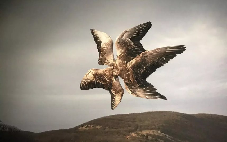 Птица над горным мысом – лишь фантазийный образ, получивший своё воплощениями силами фотографа. Игорь Елуков / Фото автора. 