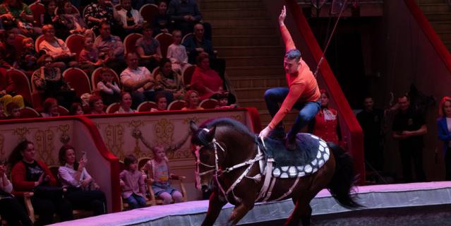Зрители попробовали себя в роли жокеев на лошади.