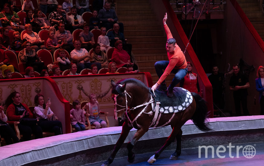 Зрители попробовали себя в роли жокеев на лошади. Фото Игорь Акимов, "Metro"