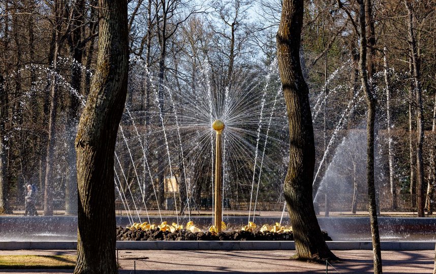 В Петергофе стартовал сезон фонтанов. Фото предоставлено пресс-службой ГМЗ «Петергоф»
