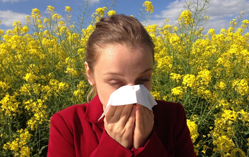 Роспотребназдор научил петербуржцев отличать аллергию от ОРВИ. Фото Pixabay