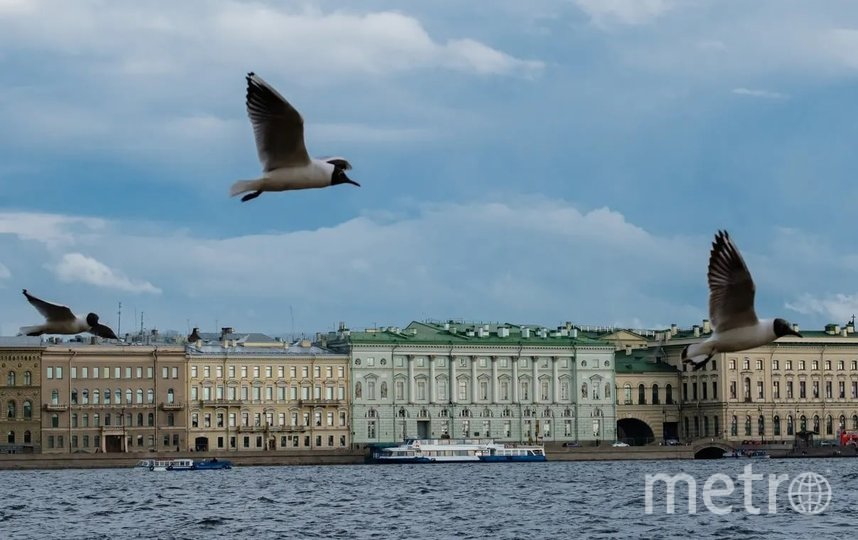 На этой неделе в Петербург придет тепло. Фото Алена Бобрович, "Metro"