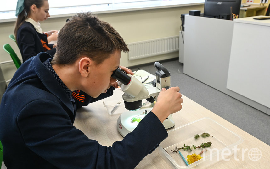 На уроках биологии петербургские лицеисты изучают растения с помощью микроскопа. Фото Игорь Акимов., "Metro"