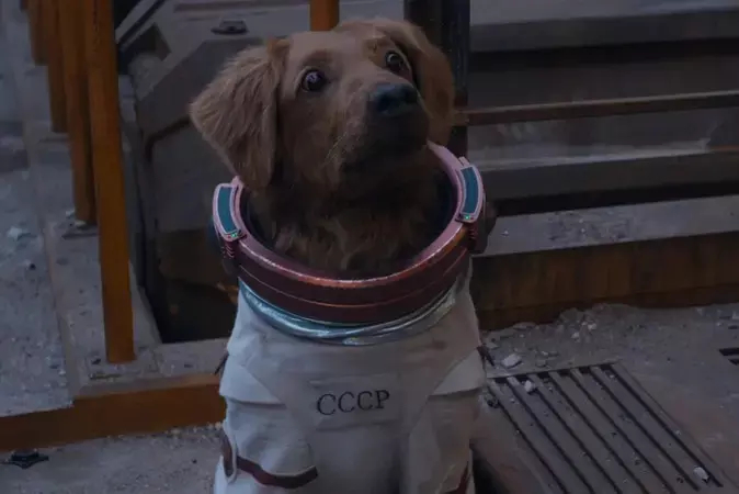 Советская собака-космонавт сыграет не последнюю роль в третьей части "Стражей Галактики". Фото Скриншот трейлера фильма / Marvel