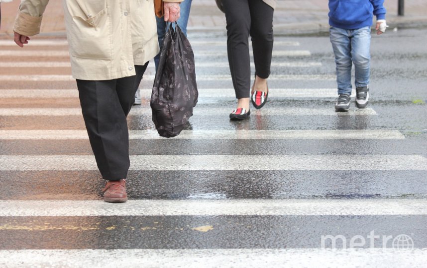 В десяти районах Петербурга пешеходные переходы стали безопаснее 