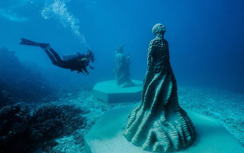 Профессор Джон Чарли Верон всю жизнь занимался изучением кораллов, за что получил среди коллег прозвище «коралловый крёстный отец». Фото  underwatersculpture.com
