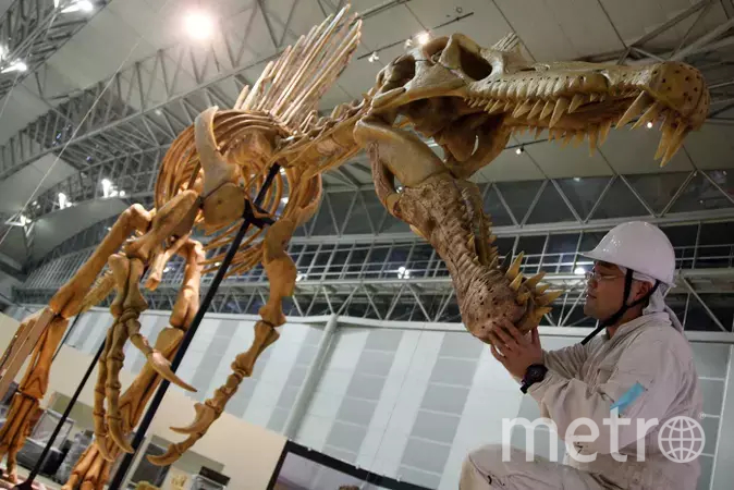 В Великобритании открыли новый подвид спинозавра
