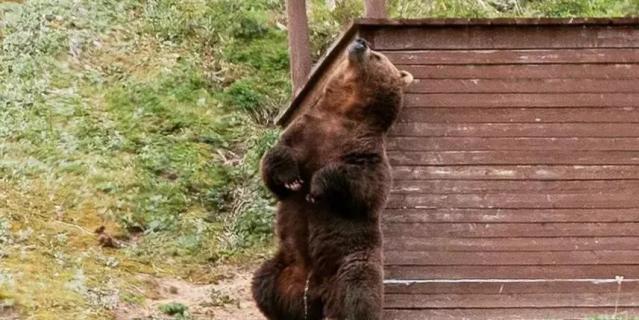 ������� ������ �� ���� ��������� �������� �� �������, ������������ ���� �������������.