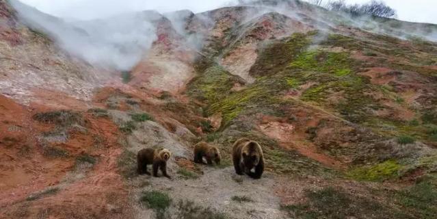 ��������� � ����������� �� ���� "�����������" ������ ������ ��������.