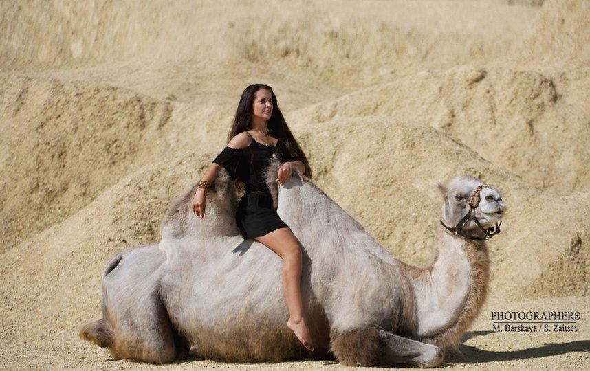 ����������, ������� �������� ��� ����������, &ndash; ������ ����������� � ���������.