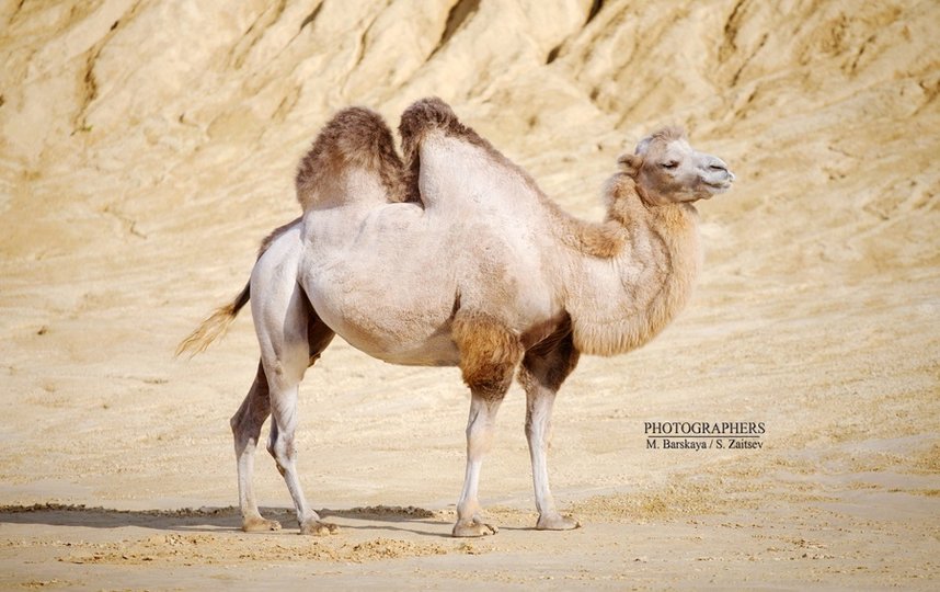 ����������, ������� �������� ��� ����������, &ndash; ������ ����������� � ���������.