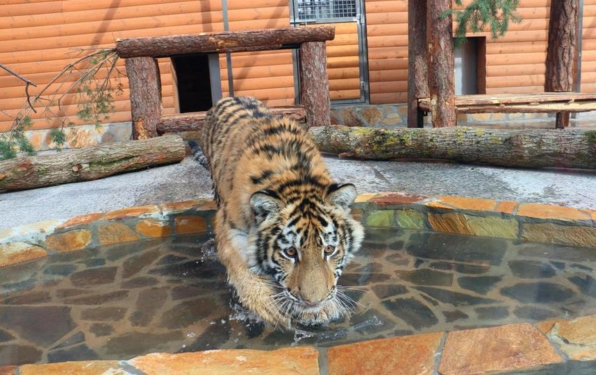 ���� �������� � �������� � ��� ����� ����.