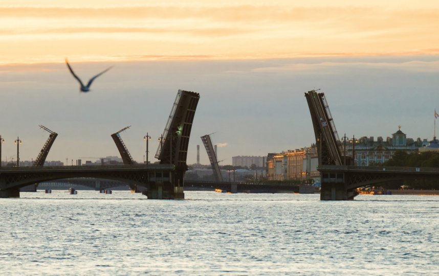 Фото с питера или из питера