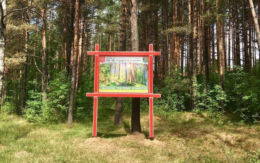 Официальные площадки для шашлыков оборудованы местами для разжигания огня и скамейками. Официальные площадки для шашлыков оборудованы местами для разжигания огня и скамейками.