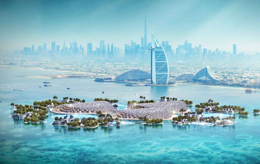 В Дубае запущен масштабный экопроект – уникальный искусственный риф. Фото URB