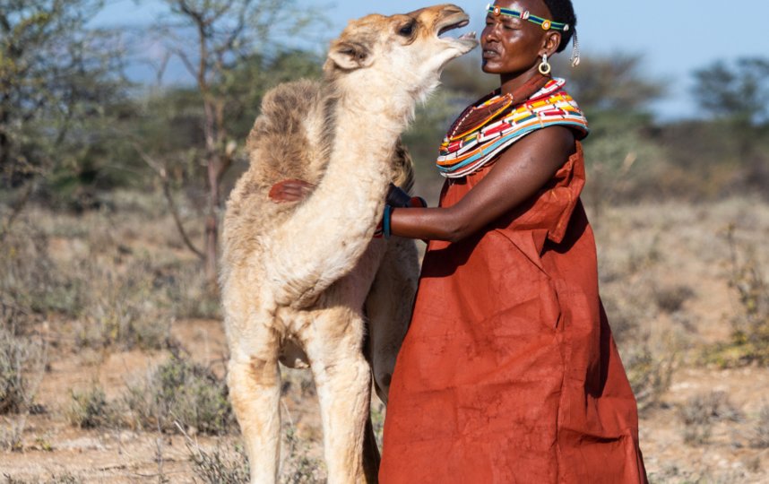 �����. ����: �������� ��������� (www.rogotneva.ru).