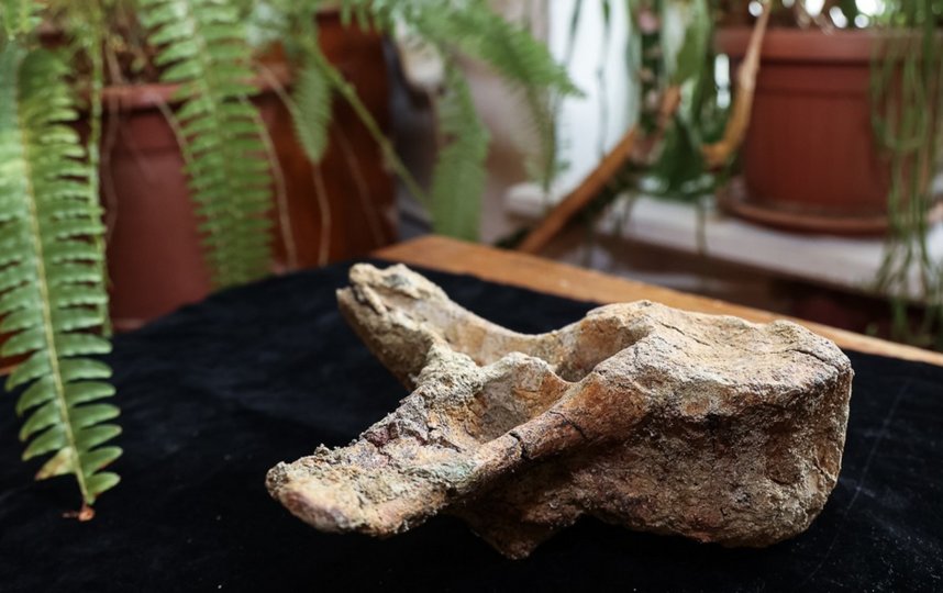 ���������� ��������. �����-������ �����.