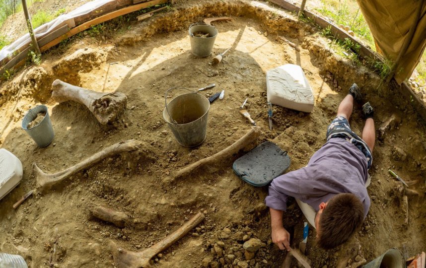 ������� ��������� ���������� �� �������������� ���������������. �����-������ �����.