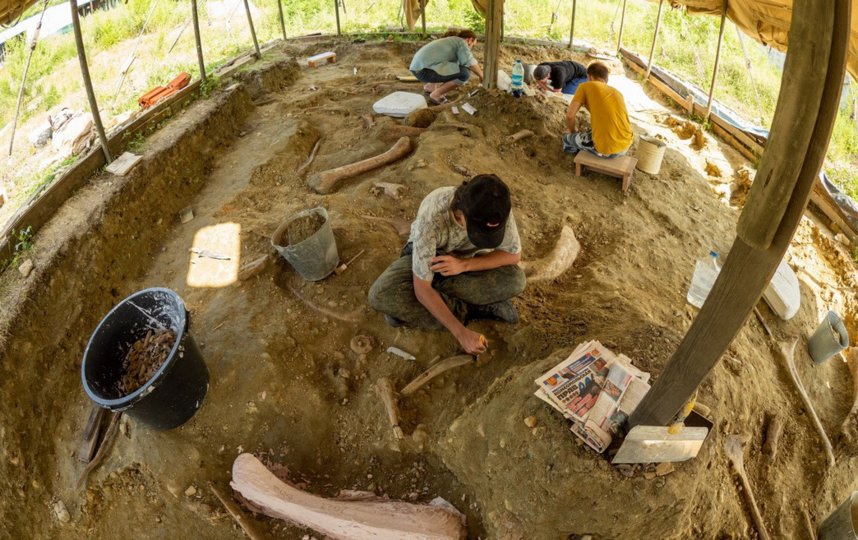 �������� ���������� � ������������� ���� �� ����� ������� � ������. �����-������ �����.