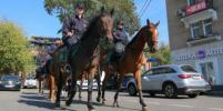Лошадиный марафет, дефиле по городу и селфи с фанатами: репортёр Metro провёл один день с конной полицией 